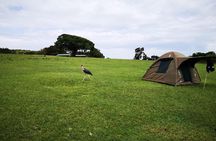 2 days Safari to Tarangire and Ngorongoro crater