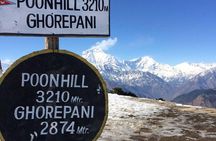 Ghorepani-Poonhill Trek 5 days - Best Short Trek in Annapurna Massif 