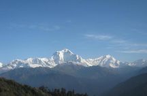 Ghorepani-Poonhill Trek 5 days - Best Short Trek in Annapurna Massif 
