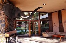Hwange 3 day Safari