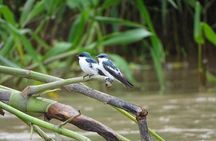 Full Expedition 5Days 4Nights - Amazon Wonder Expeditions