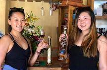 Private Street Food Tour and City Tour Guadalajara - Best Rated 