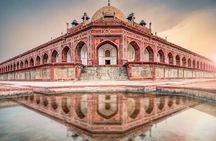 2-Day Jungle Safari with Sunrise view of Taj Mahal