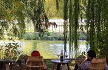 Horse Country Estate and Vineyard Wine Tasting Tour