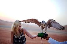 Abu Dhabi Desert Safari 4x4, BBQ Dinner, Camel Ride