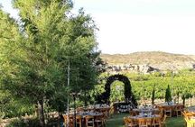 Vineyard Wine Tasting Tour