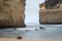 Great Ocean Road 12 Apostles kangaroo & koala tour