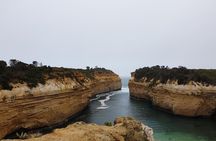 Great Ocean Road 12 Apostles kangaroo & koala tour