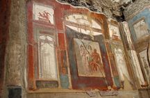  All inclusive Herculaneum Skip the Line Tour From Sorrento