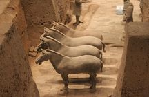 Half-Day Mini Group Xian Tour to Terracotta Warriors Museum