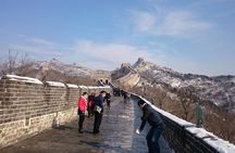 Private Family Tour to see Pandas and China's Golden Cities