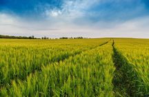 Budapest-Vienna One-Way Sightseeing Transfer