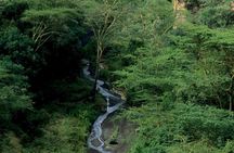 1 Day trip to Hells Gate and Lake Naivasha From Nairobi
