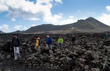 3-Hour Walking Tour in Los Volcanes Nature Reserve