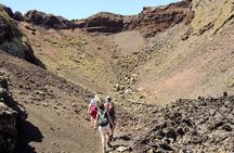3-Hour Walking Tour in Los Volcanes Nature Reserve