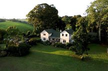 Day tour to Kiambethu tea farm in Limuru