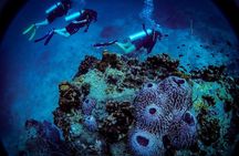 Open Water Course - Become certified diver in 3 days 