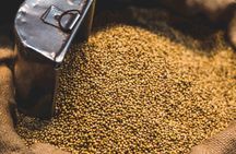 Spice Market & Old Delhi Highlights: Guided 3-Hour Group Tour