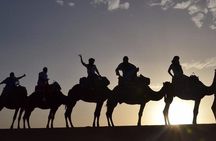 Luxury Overnight From Fez To Merzouga 