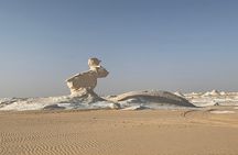 Black and White Desert Tour 2 Days 1 Night