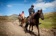 Viking Horse Riding and Golden Circle Tour from Reykjavik