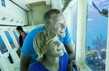  Aruba Semi-Submarine Cruise from Palm Beach