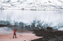 Arctic Fjord Sightseeing by Minibus