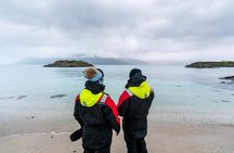 Arctic Fjord Sightseeing by Minibus