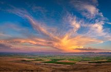 Hike Mt. Rainier & Taste Yakima Valley Wine: All-Inclusive Day Tour from Seattle