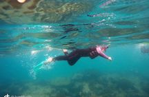 Snorkeling Adventure Cabo Pulmo