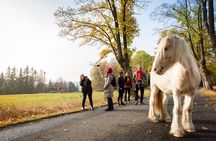 Best Reviews: Saxon and Bohemian Switzerland Day Trip from Prague