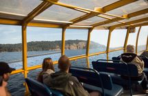 Whale-Watching Tour from Vancouver