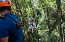 Big Island Kohala Canopy Zipline Adventure