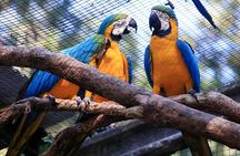 Iguassu Bird Park - Tickets Included
