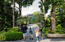 Morning at the Zoo with 1-way Transfer (Free & Easy)