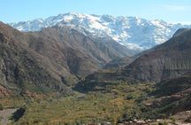 Desert Agafay & Atlas Mountains Day Trip from Marrakech (Min.2 p)