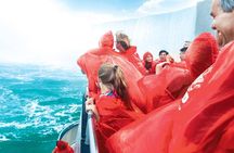 Private Niagara Falls Full-Day Tour from Toronto