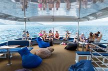Great Barrier Reef Snorkeling and Diving Cruise from Cairns