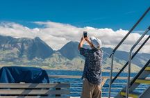 2-Hour Oahu Whale Watch from Ala Wai Harbor, Waikiki