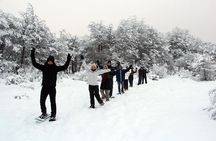 Full Day Snow