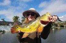 Peacock Bass Fishing Trip