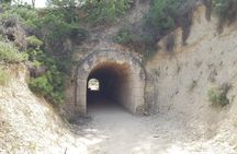 Mycenae and Ancient Nemea Private Tour from Corinth