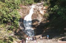 Cameron Highland Day Trip