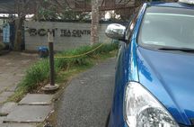 Cameron Highland Day Trip