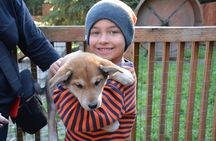 Musher's Camp and S'more Roasting Experience
