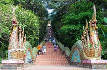 Chiang Mai Iconic Temples and City Tour
