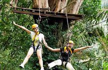 Flying Hanuman Zipline Adventure – Soar Through the Jungle!