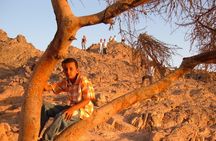 Buggy Desert Safari from Sharm elsheikh