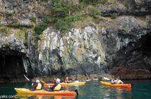 Sunrise wildlife sea kayaking in Akaroa marine reserve