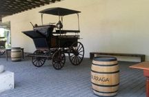 Santiago: Half day Visit to Undurraga vineyard, entrance and transport included 